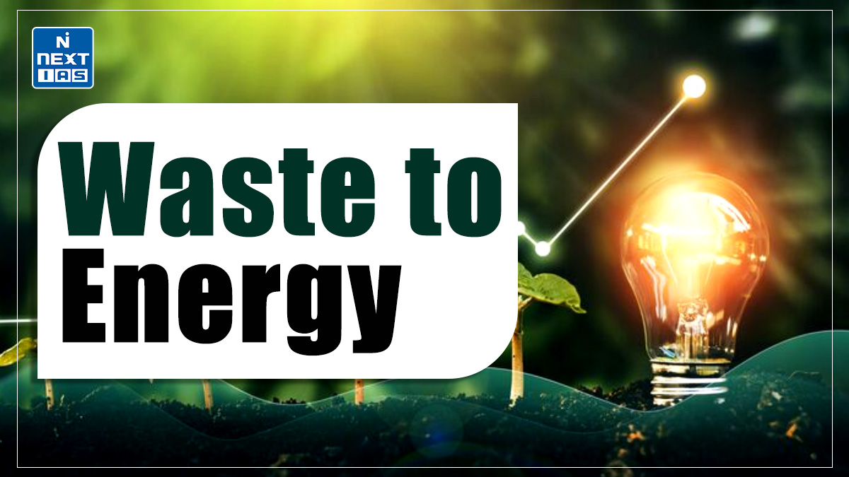 Live waste to energy